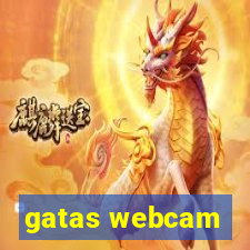 gatas webcam